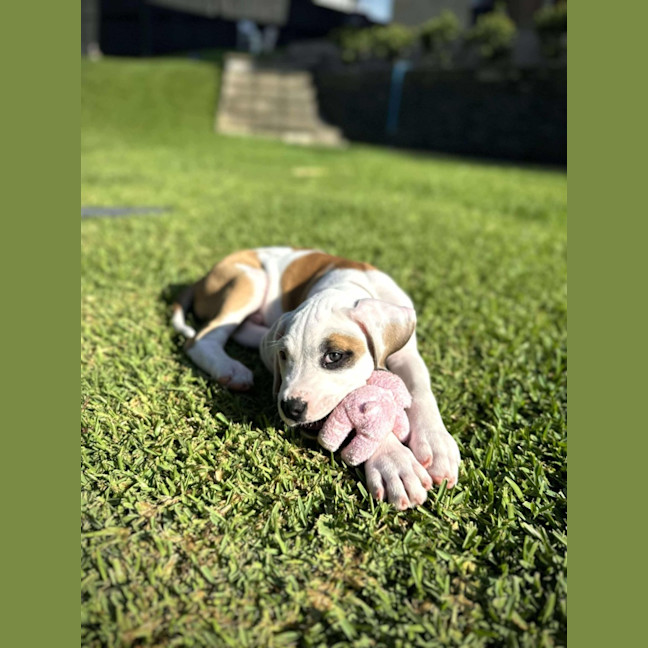 Photo of Theo