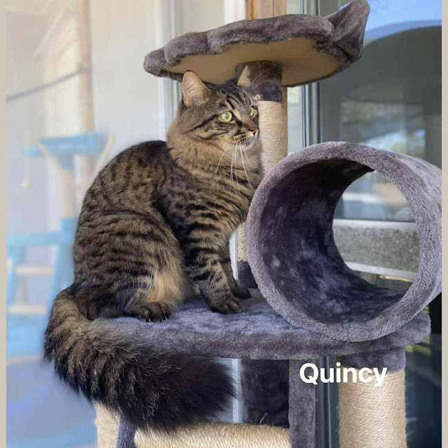 Photo of Quincy