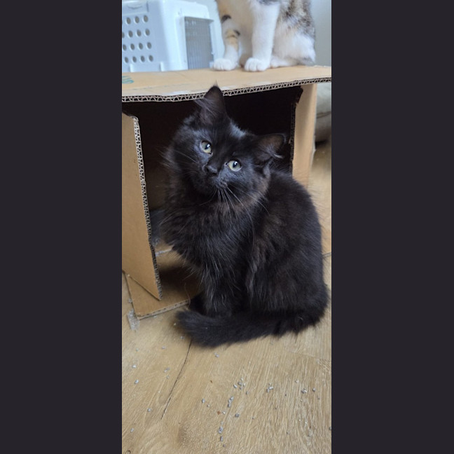 Photo of Millie