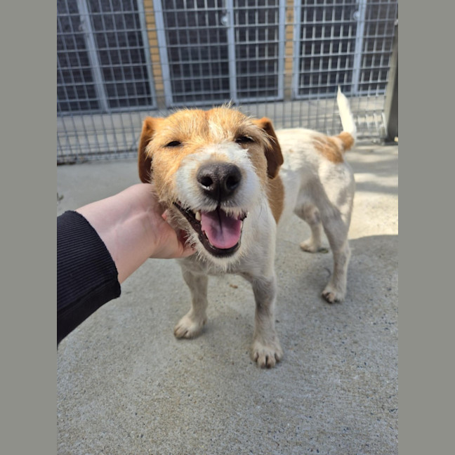 Photo of Aggie! 🌻