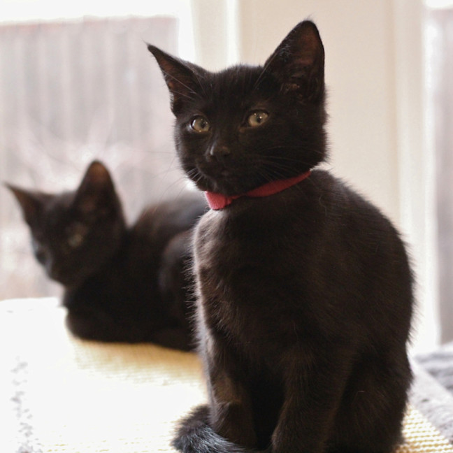 Photo of ❤️ Ravi ❤️