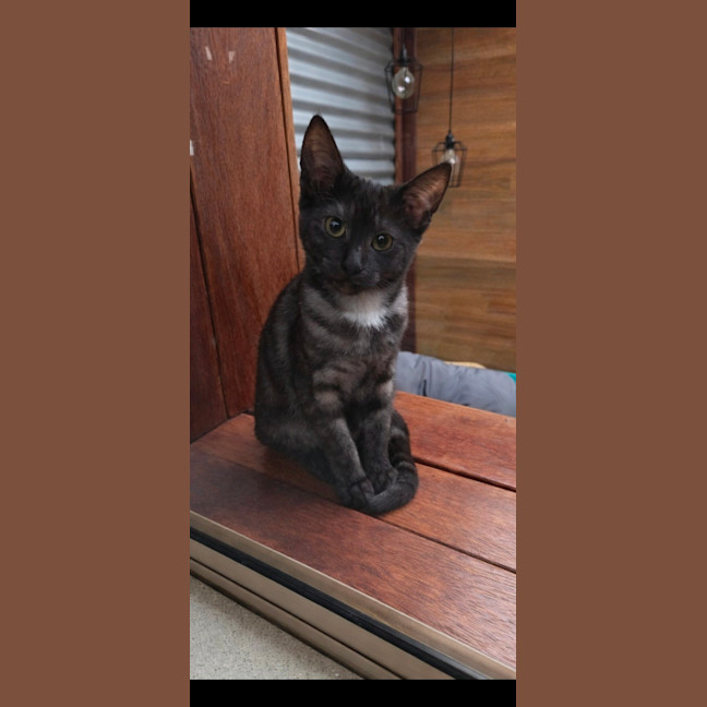 Photo of Wednesday