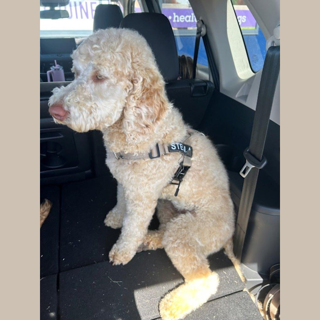 Photo of Stella Valenti