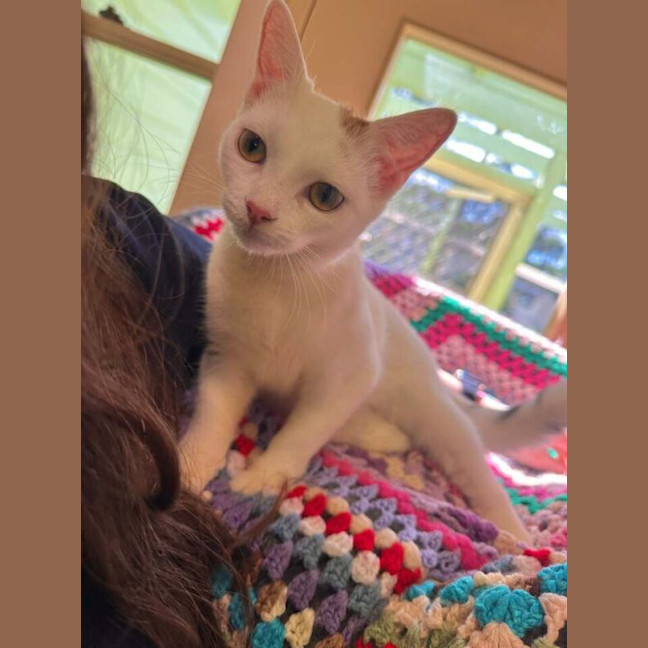 Photo of Mabel
