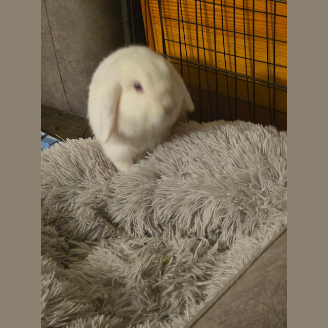 Photo of Adorable Coral 