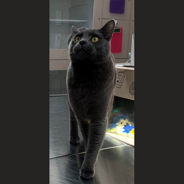 Photo of Micah (0005)