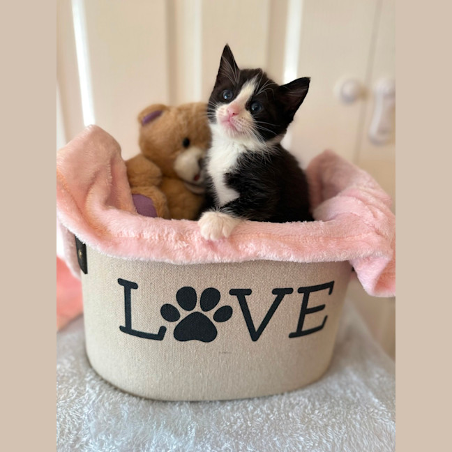 Photo of Addy 🌸🌸