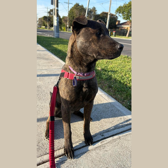 Photo of Ruby