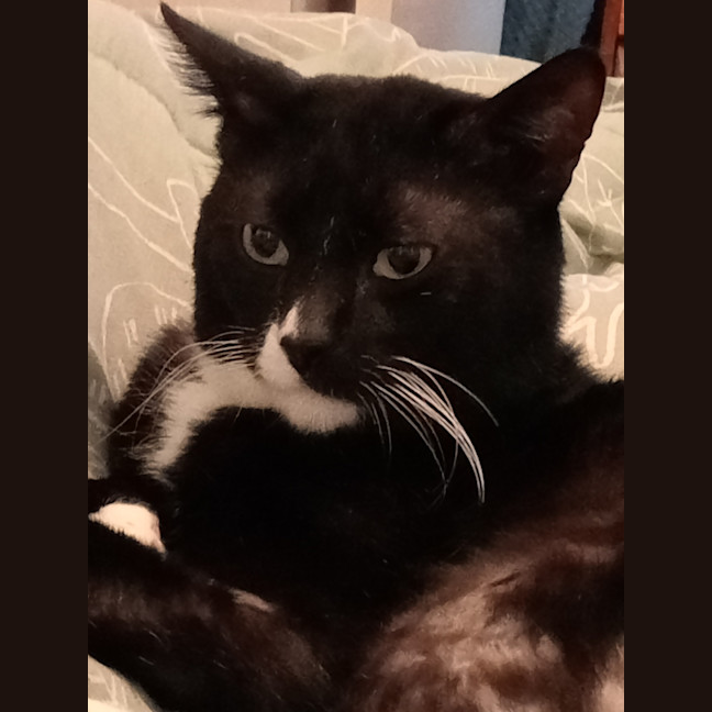 Photo of George