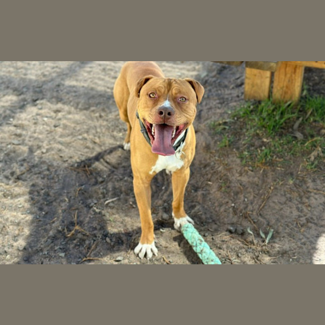 Photo of Duke