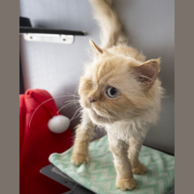 Photo of Sammy