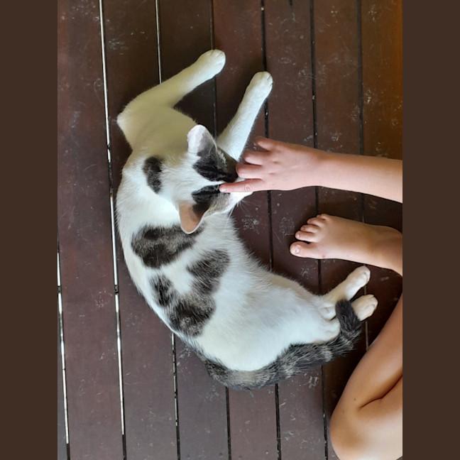 Photo of Mr Waffleton 