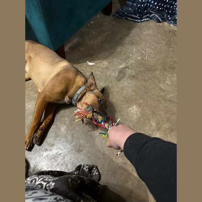 Photo of Rocco