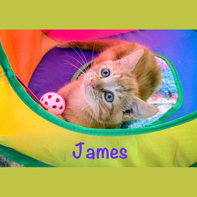 Photo of James