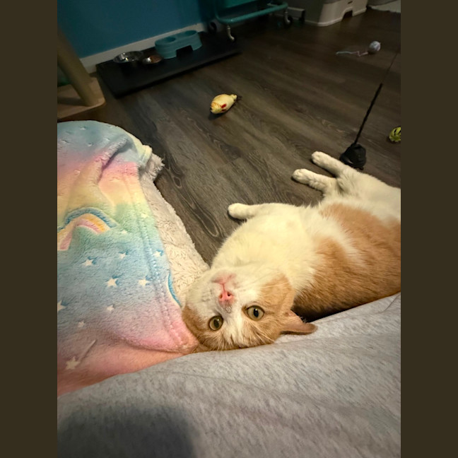 Photo of Buddy