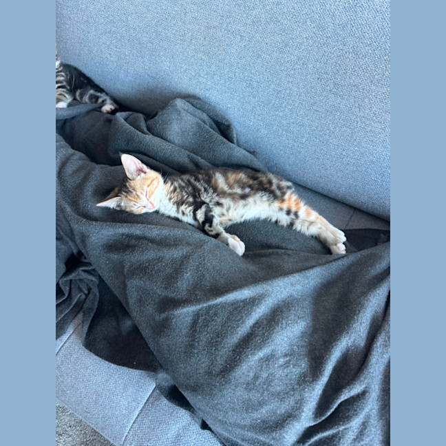 Photo of Cheri & Juni