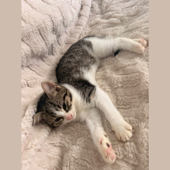 Photo of Mabel 