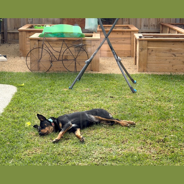 Photo of Winston