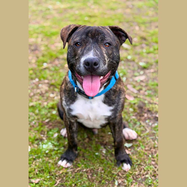 Photo of Tucker