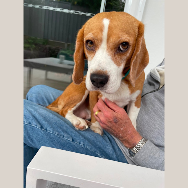 Photo of Adorable Amree