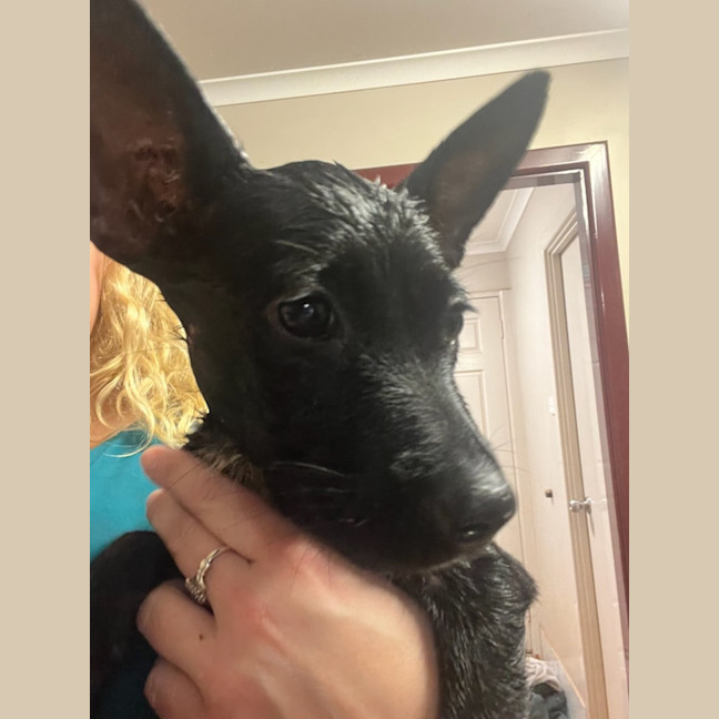 Photo of Felice (Astrid)