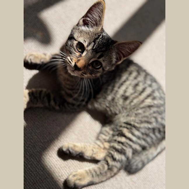 Photo of Coco 