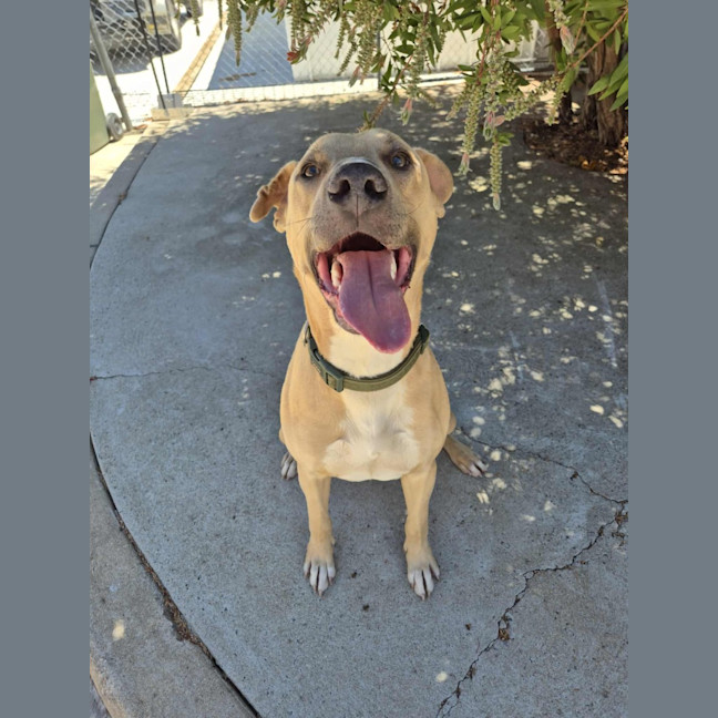 Photo of Mike! 🛋️🦎