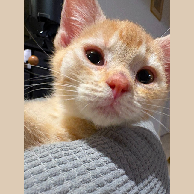 Photo of Esmerelda
