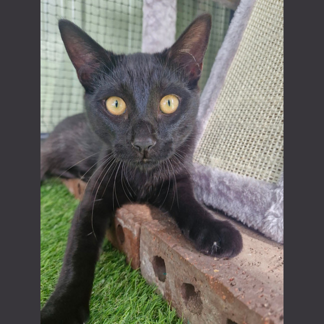 Photo of Ziggy