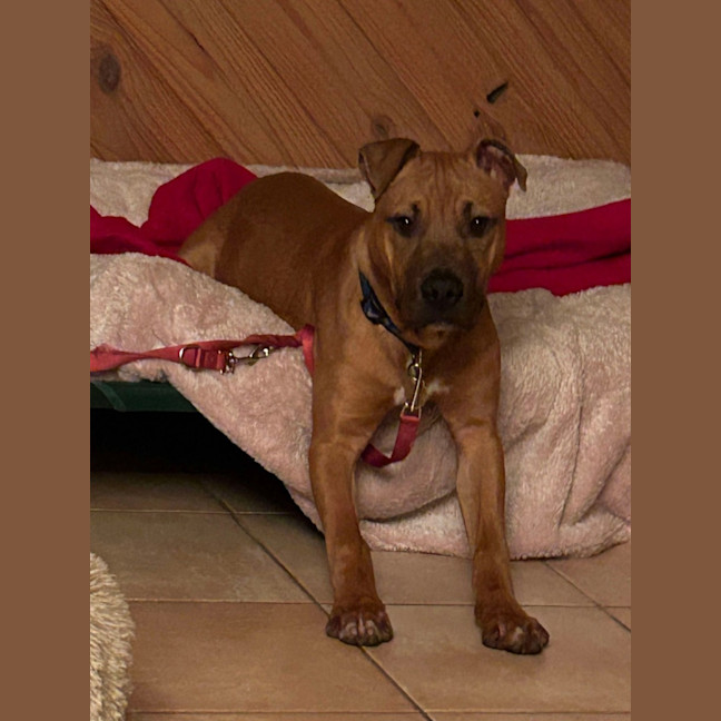 Photo of Blankie