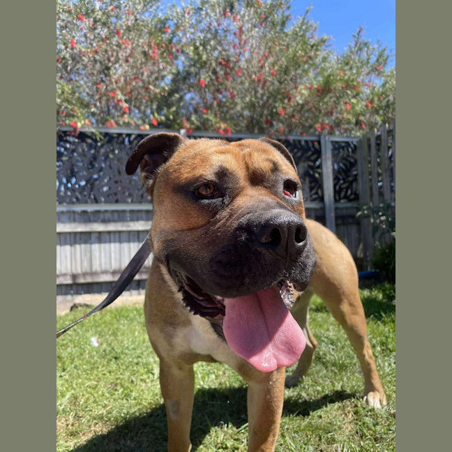Photo of Arlo