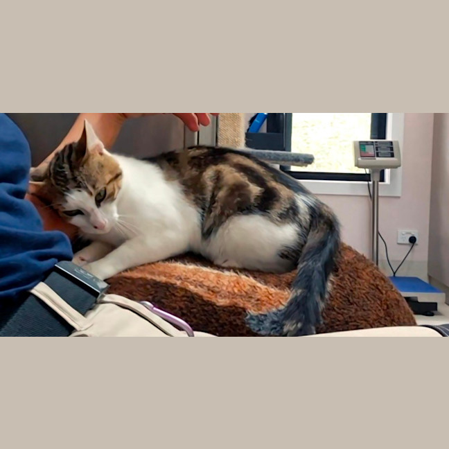 Photo of April (9172)