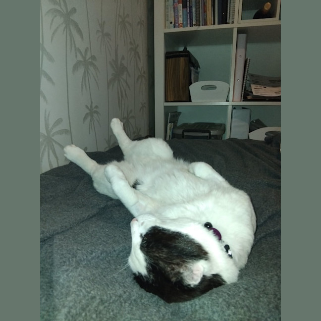 Photo of Lenny