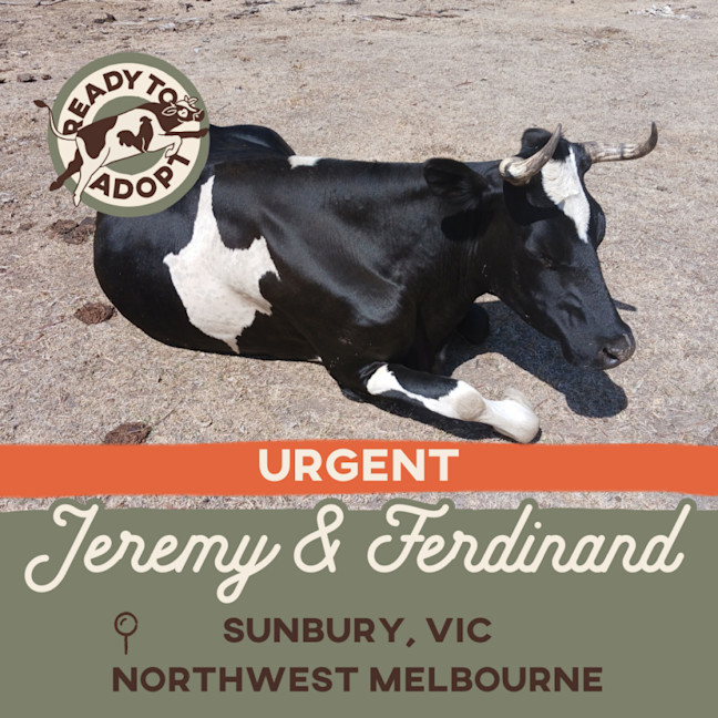 Photo of Jeremy And Ferdinand