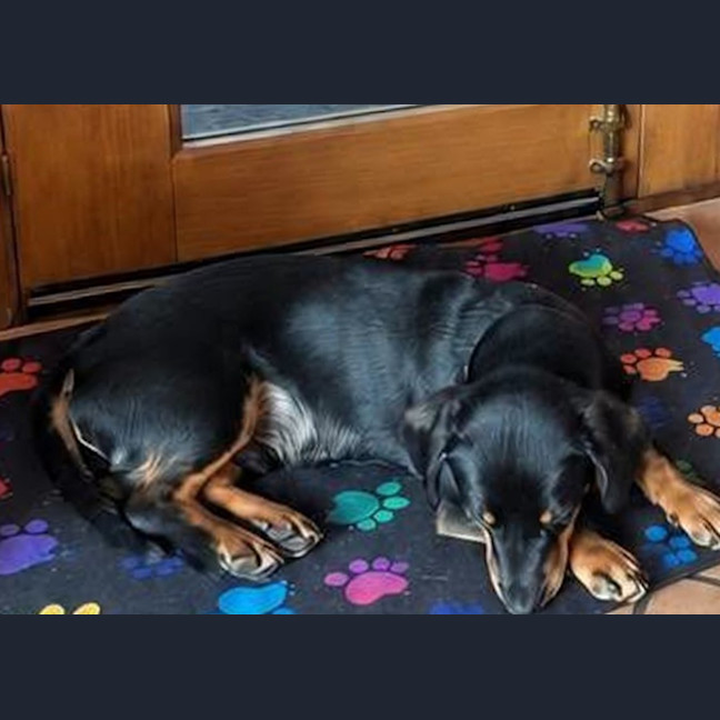 Photo of Echo