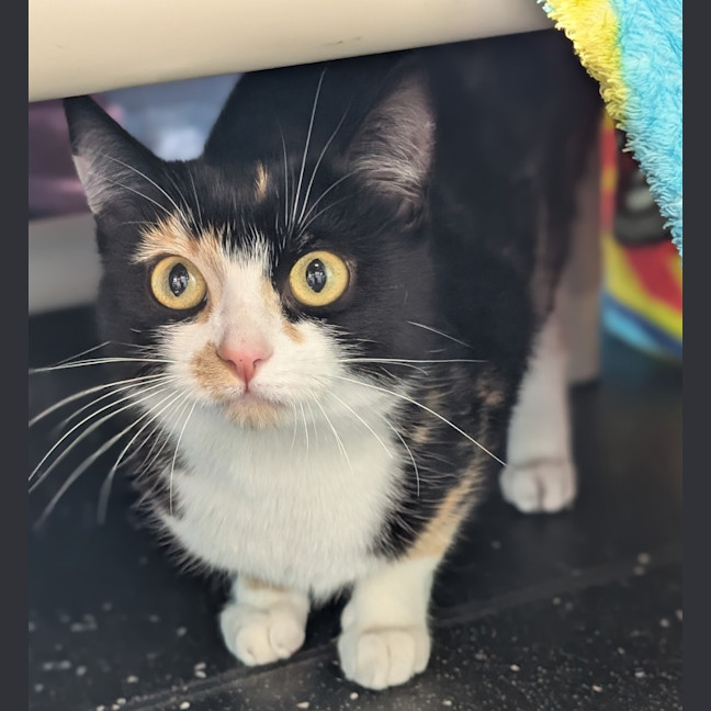 Photo of Amazes Me Penelope