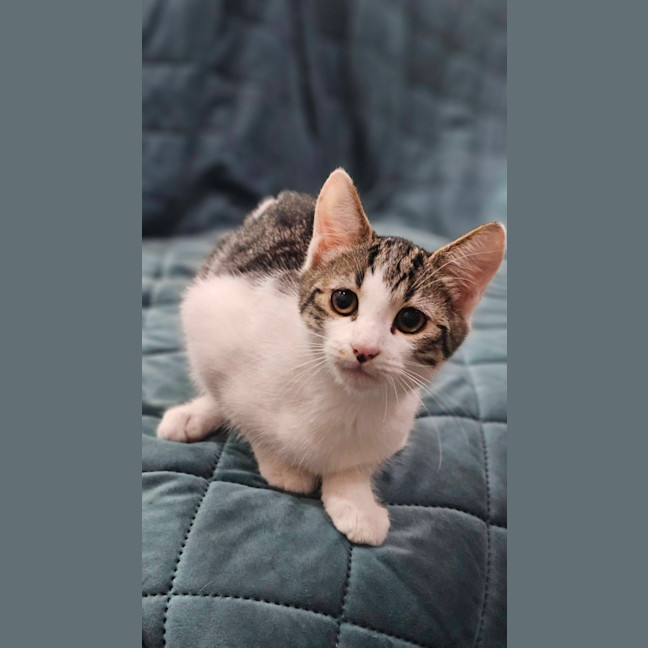 Photo of Sally