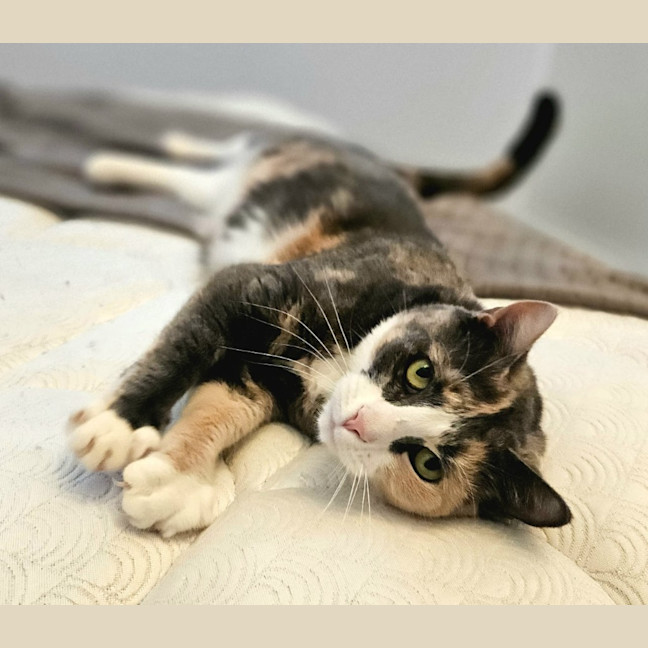 Photo of Kiki