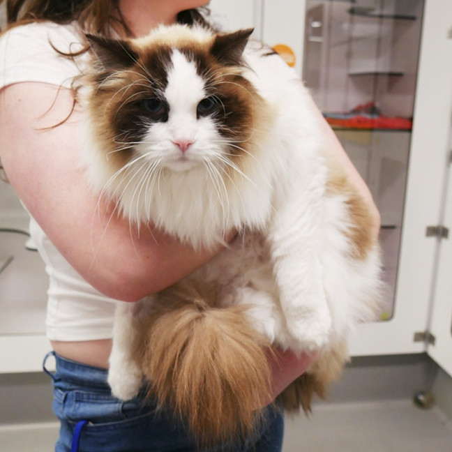 Photo of Oscar Sua012925