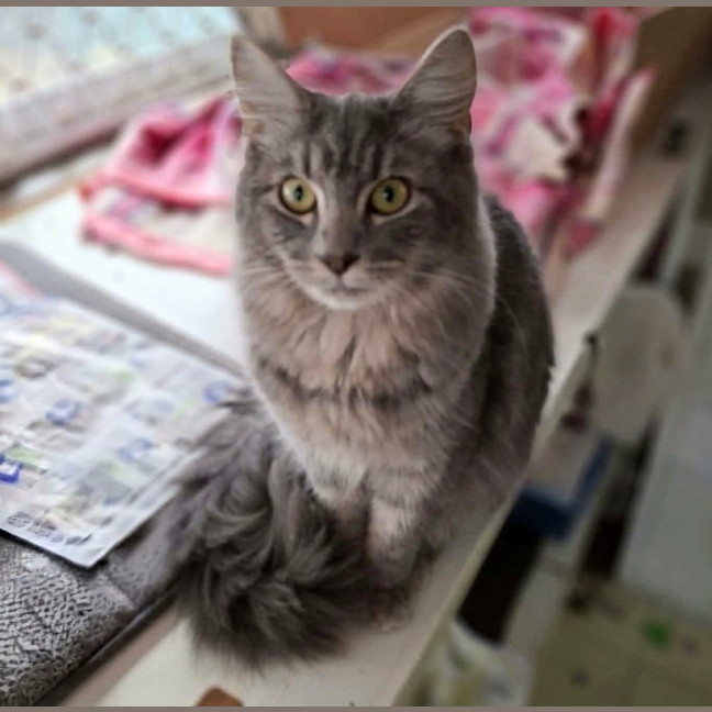 Photo of Jazz