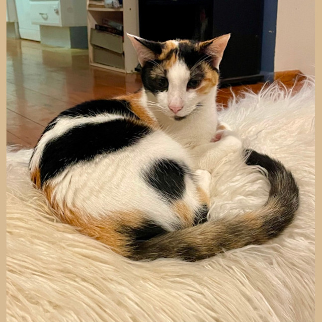 Photo of Ivy