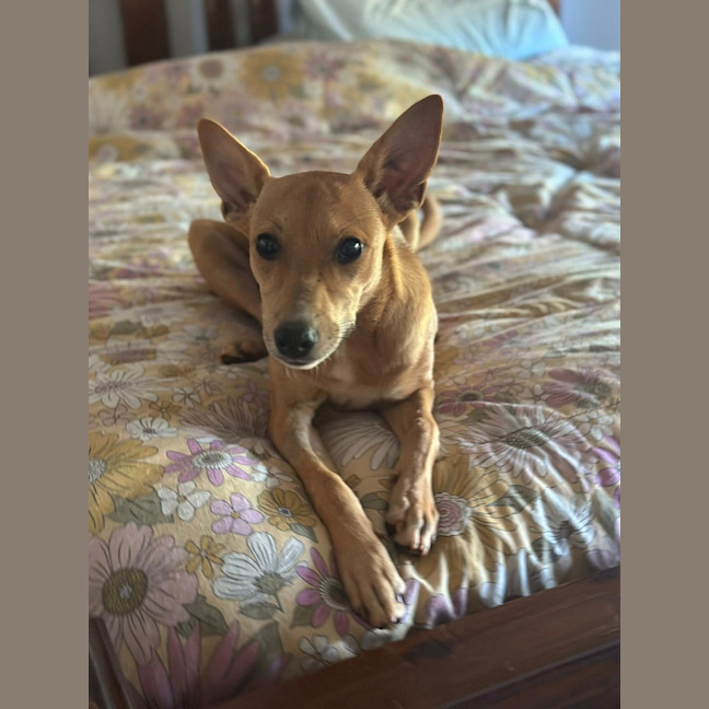 Photo of Lexi