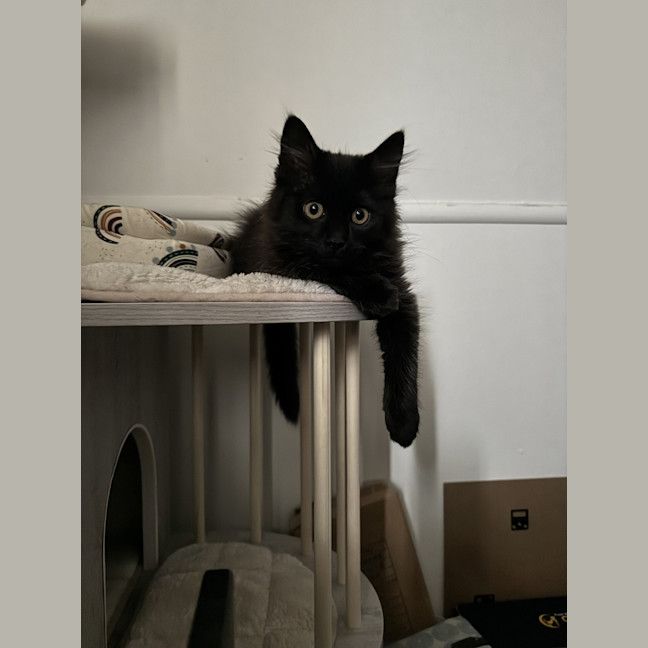 Photo of Marceline