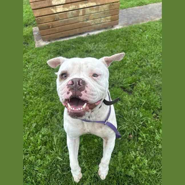 Photo of Jax