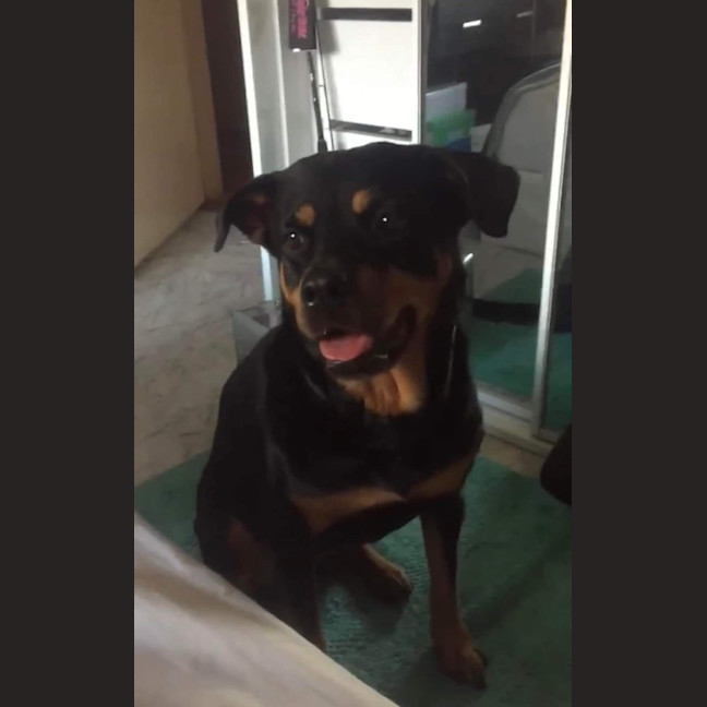 Photo of Lilly