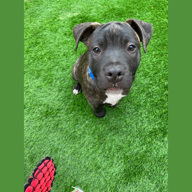 Photo of Aston Martin