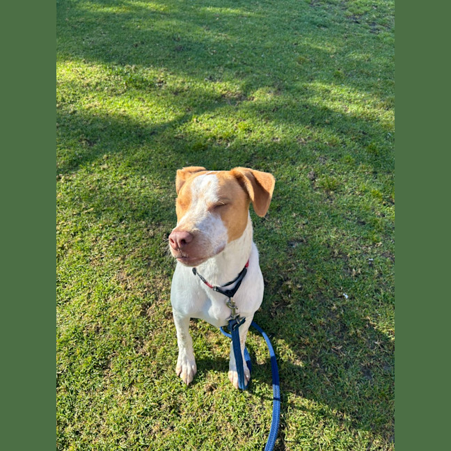 Photo of Rico