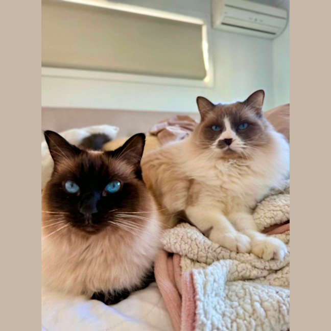 Photo of Ollie And Luna 