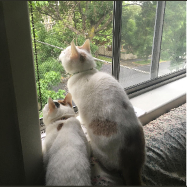 Photo of Mickey & Minnie
