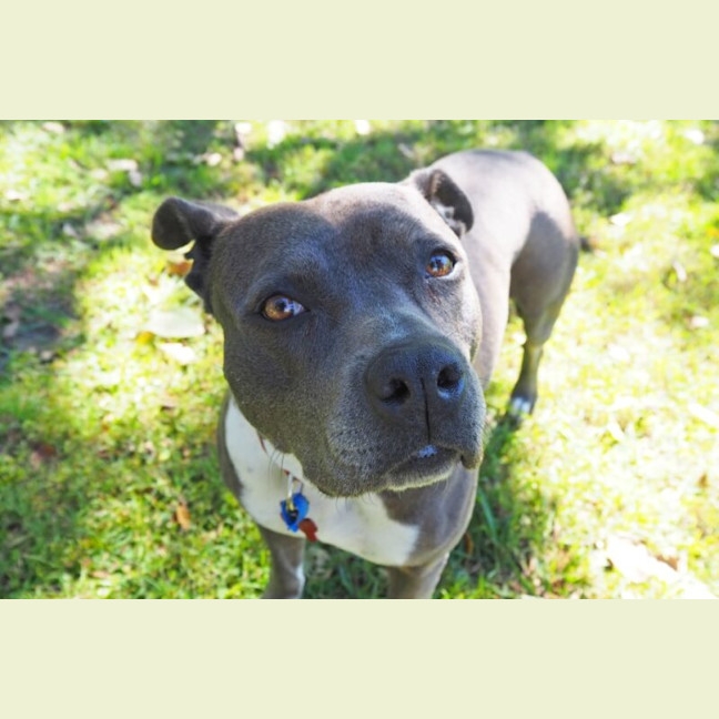 Photo of Bella